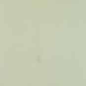 Salt Lake Green