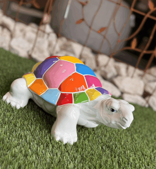 Tortue multicolore