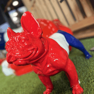 Bouledogue les patriotes