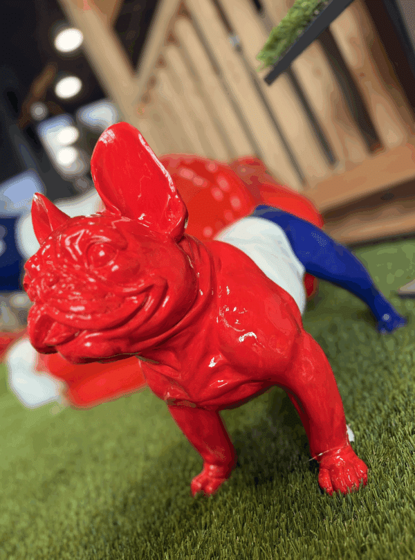 Bouledogue les patriotes
