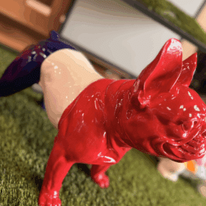 Bouledogue les patriotes
