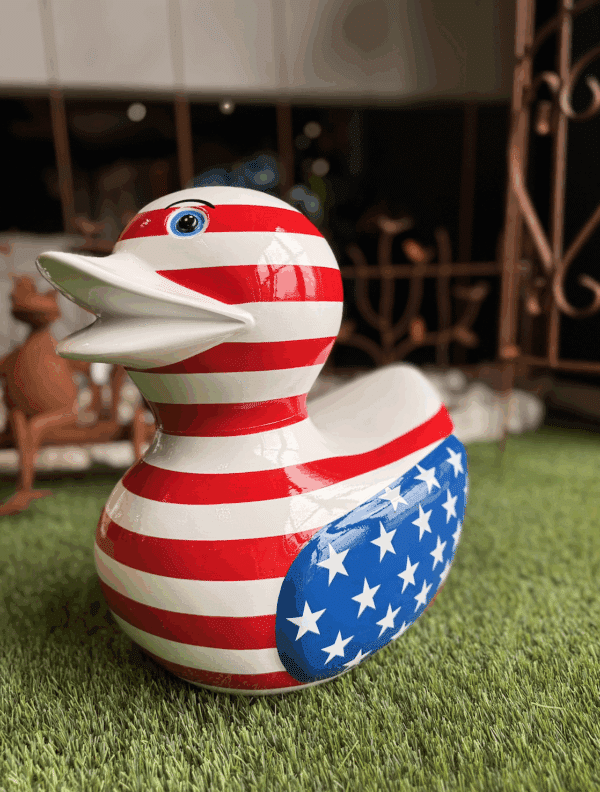 Canard Américain