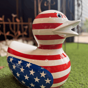 Canard Américain