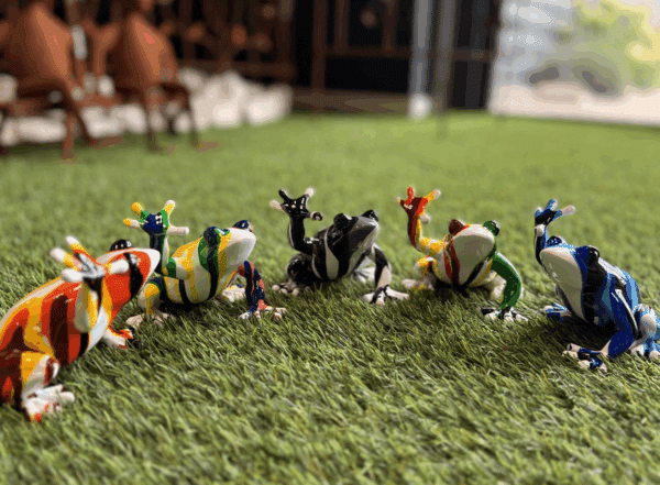 Mini grenouilles