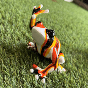 Mini grenouilles