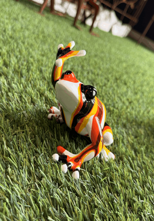 Mini grenouilles – Image 3