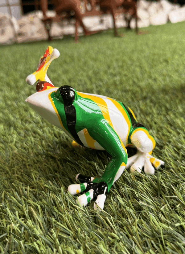Mini grenouilles – Image 6