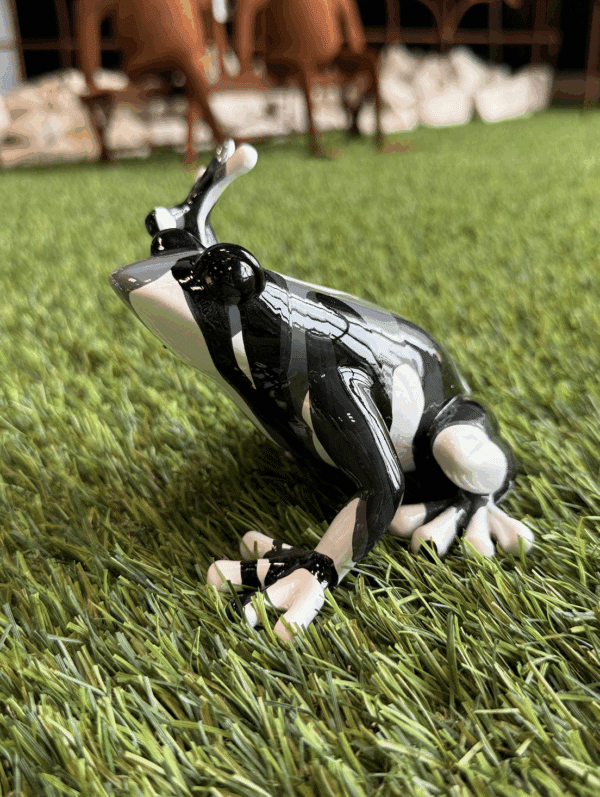 Mini grenouilles – Image 7