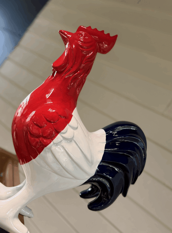Coq Français – Image 2