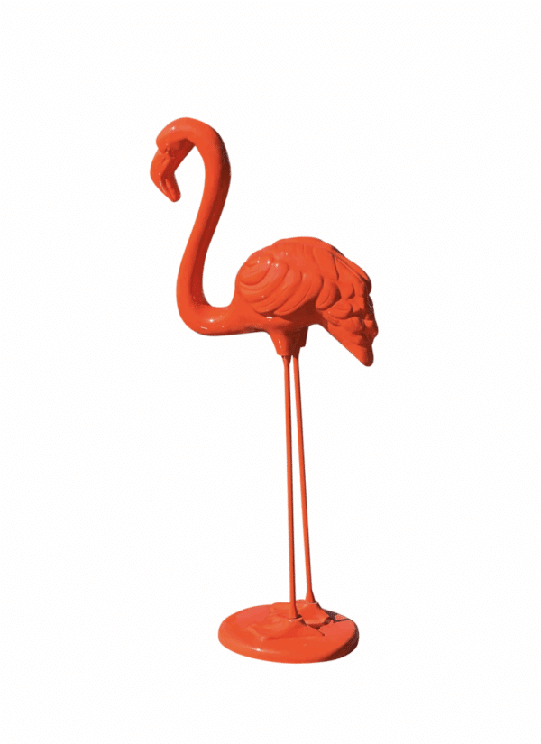 Flamant Orange – Image 2
